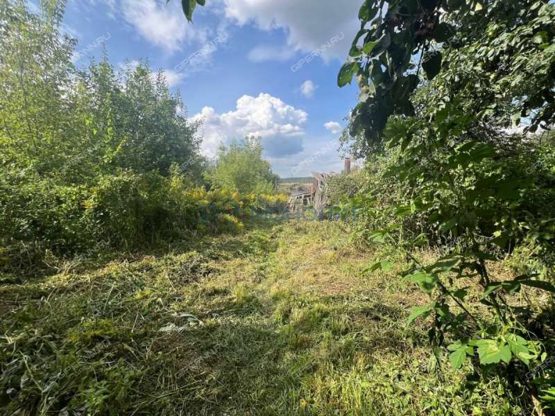 земельный участок 1 056 соток Центральная улица село Федяково